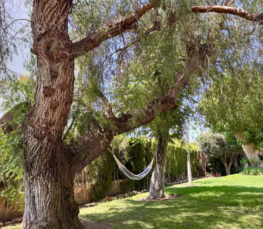 06-los-monasterios-villa-mature-garden