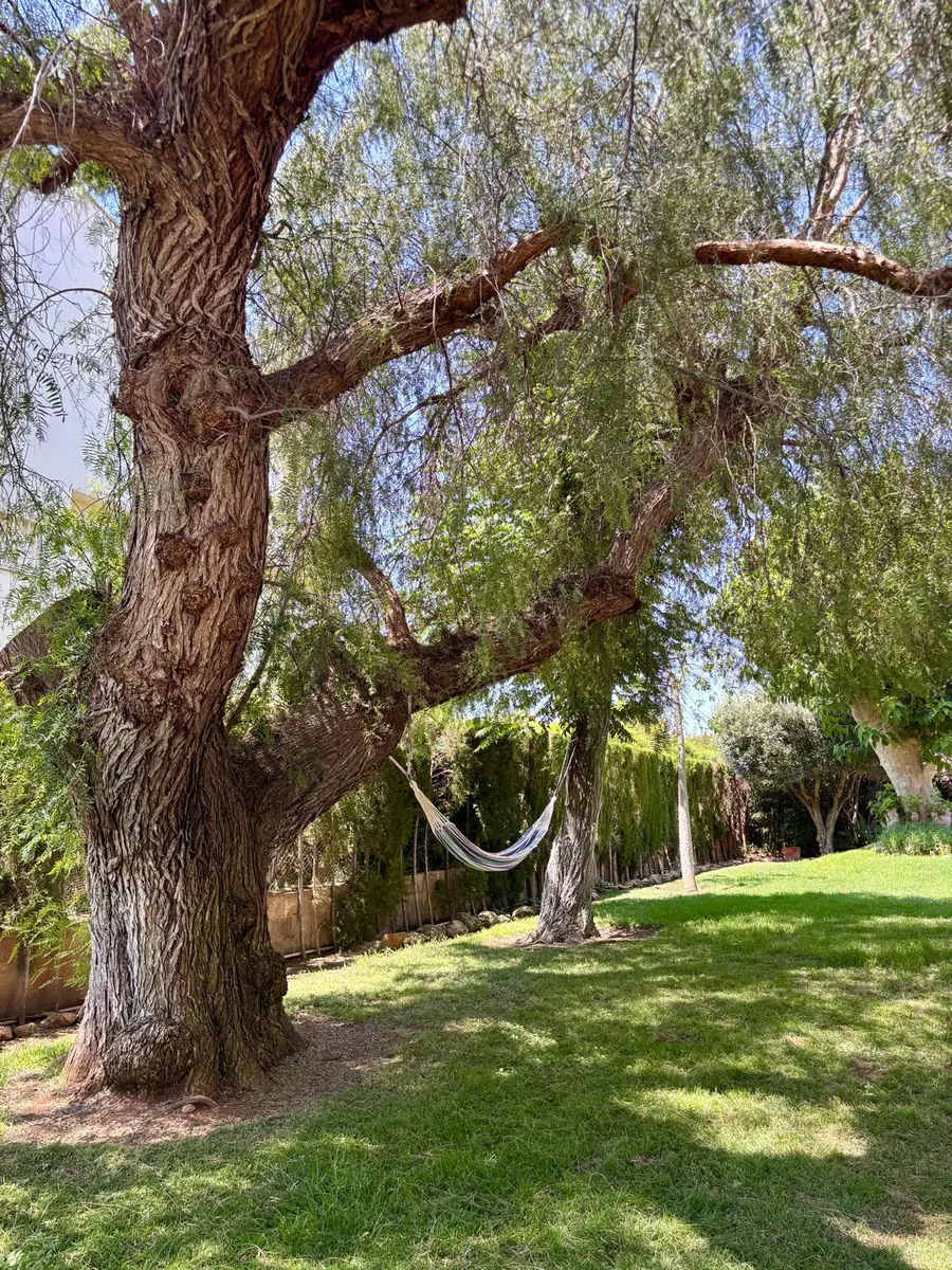06-los-monasterios-villa-mature-garden